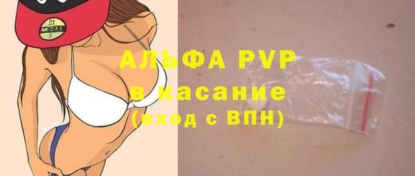 индика Володарск